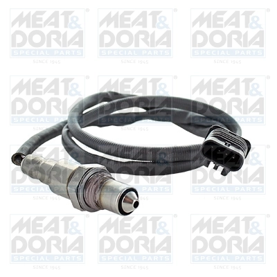 Oxygen Sensor